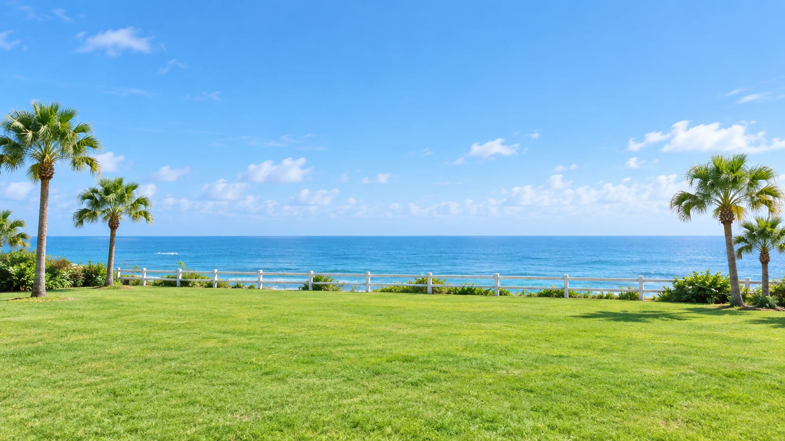 海に面した芝生の広場